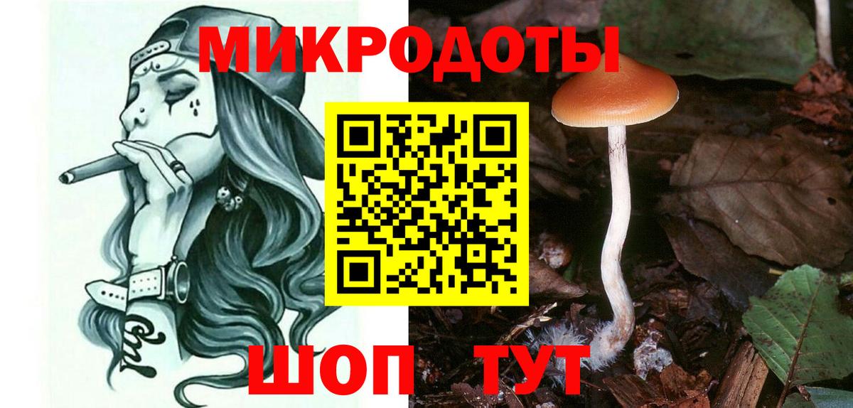 Галлюциногенные грибы GOLDEN TEACHER  Вход с VPN  продажа наркотиков  Галлюциногенные грибы MAGIC MUSHROOMS  Сокол 