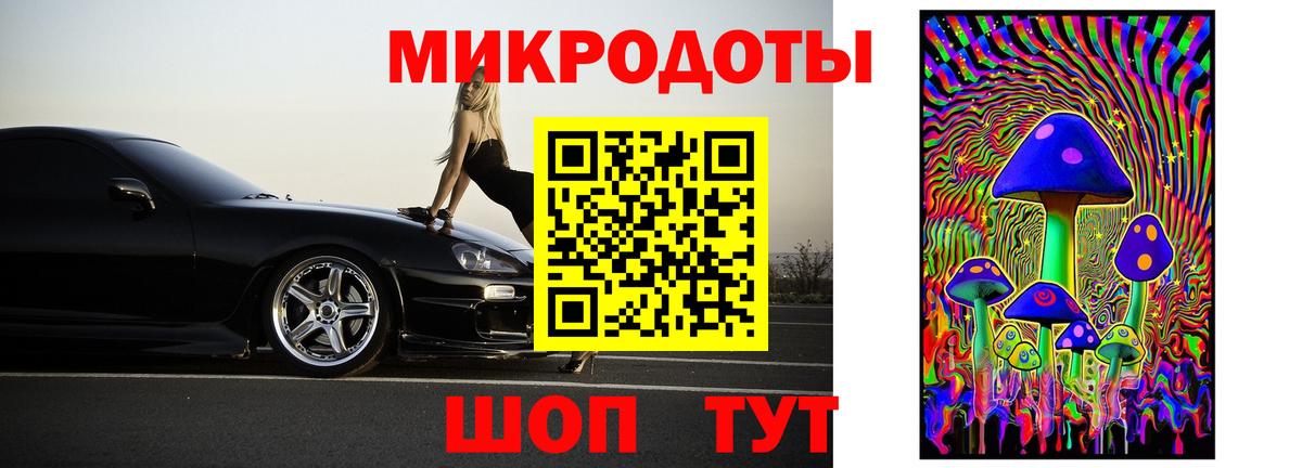 Псилоцибиновые грибы Psilocybe Сокол