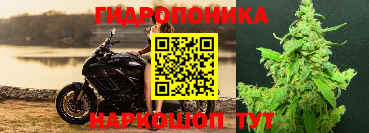 Конопля Ganja Сокол